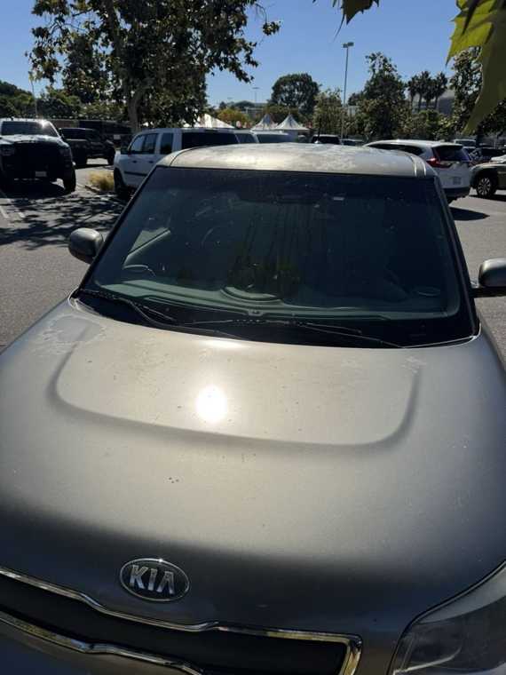 Next Level Auto Detailing work 7